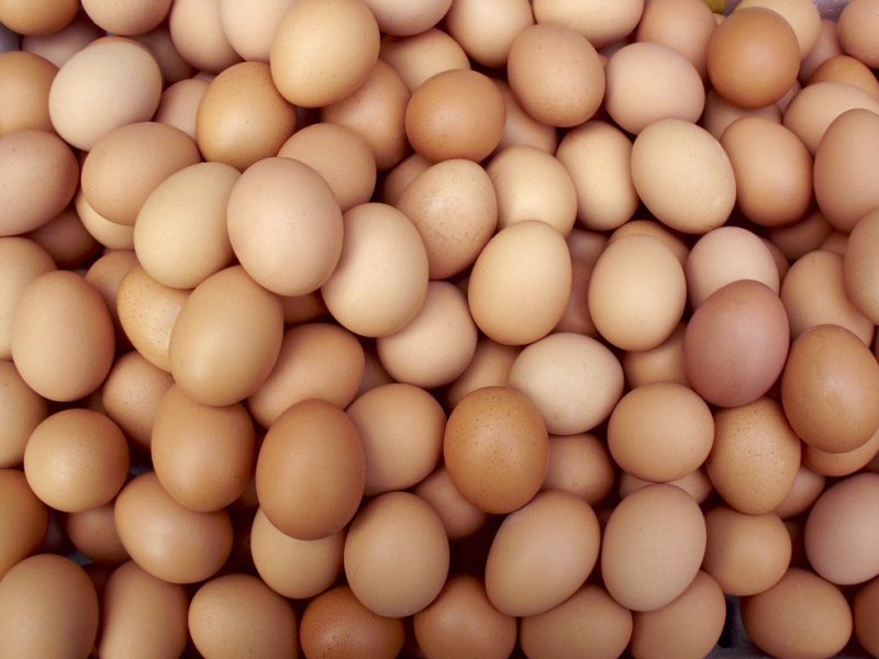 1 个月狂吃 720 个鸡蛋！医学博士拿自己做试验，结果让人大吃一惊…