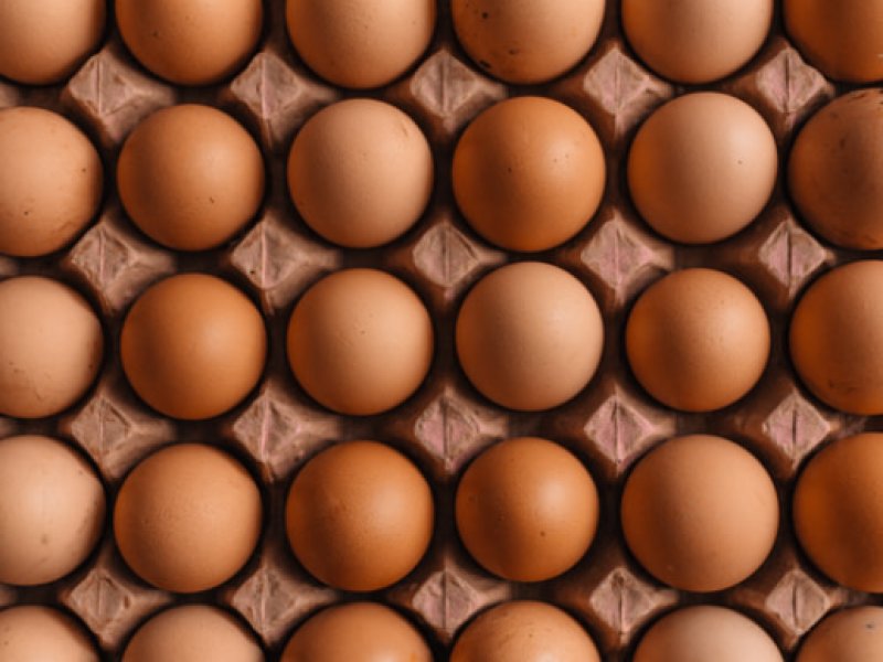 2025年3月7日畜禽行情信息汇总