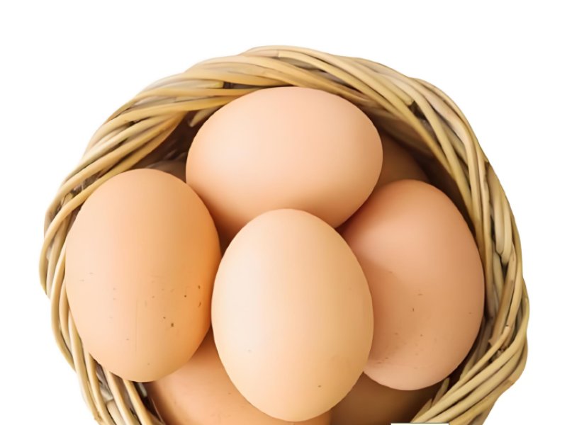 2025年5月16日畜禽行情信息汇总