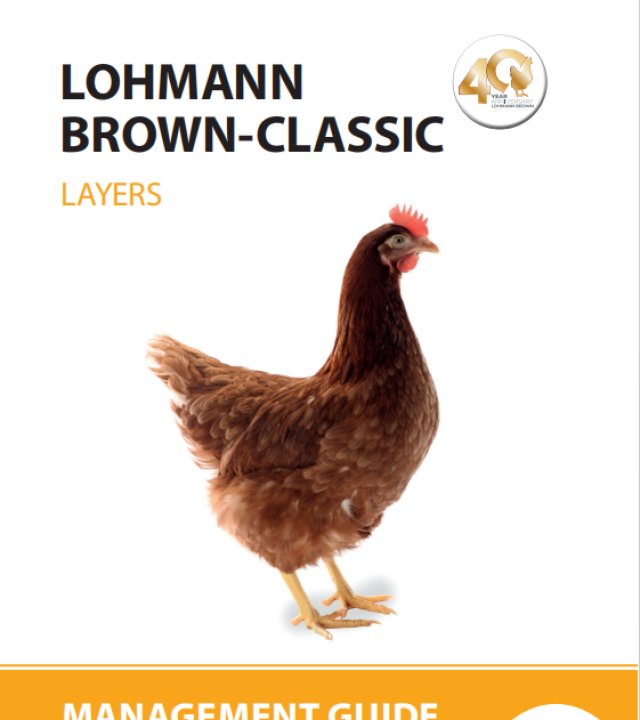 罗曼棕养殖手册