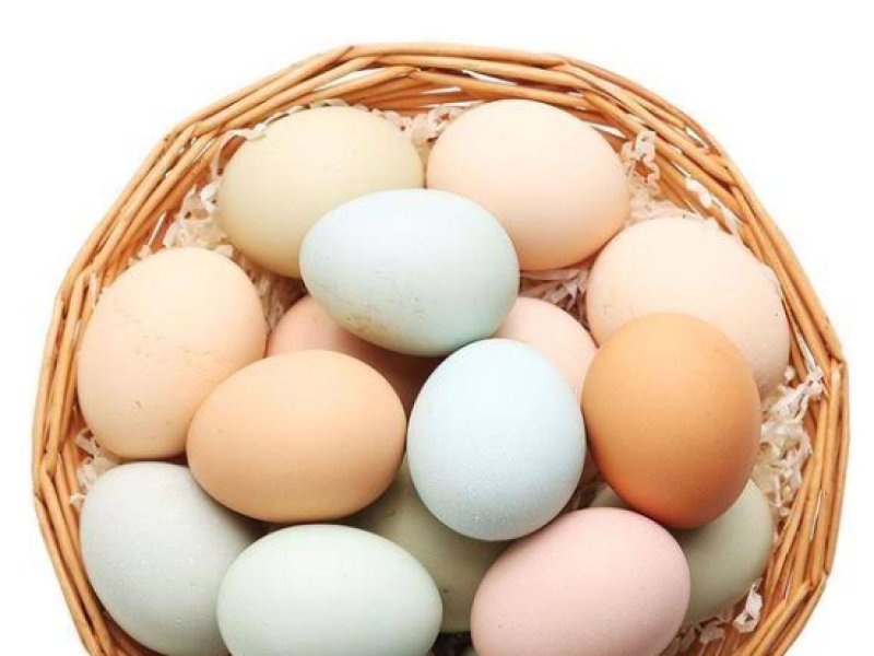 2025年7月4日畜禽行情信息汇总