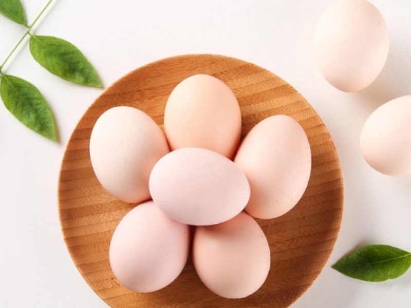 2025年7月11日畜禽行情信息汇总