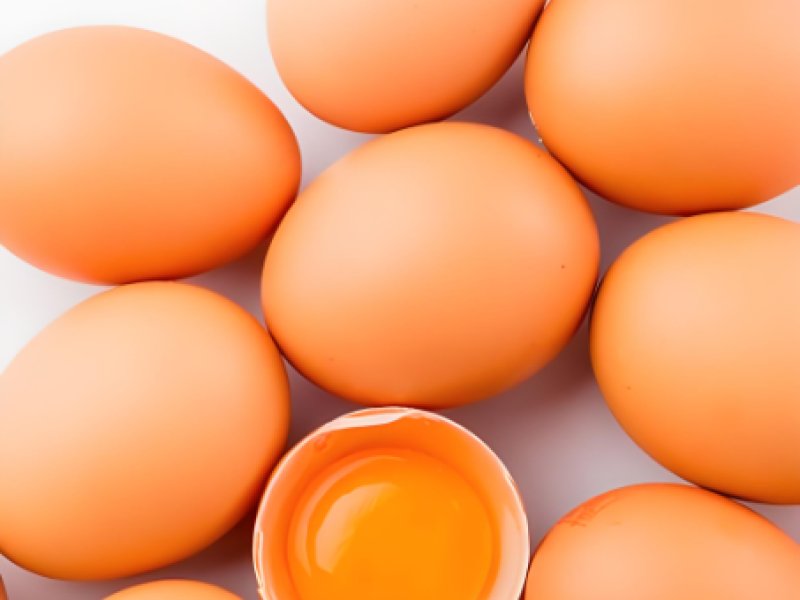 2025年7月18日畜禽行情信息汇总