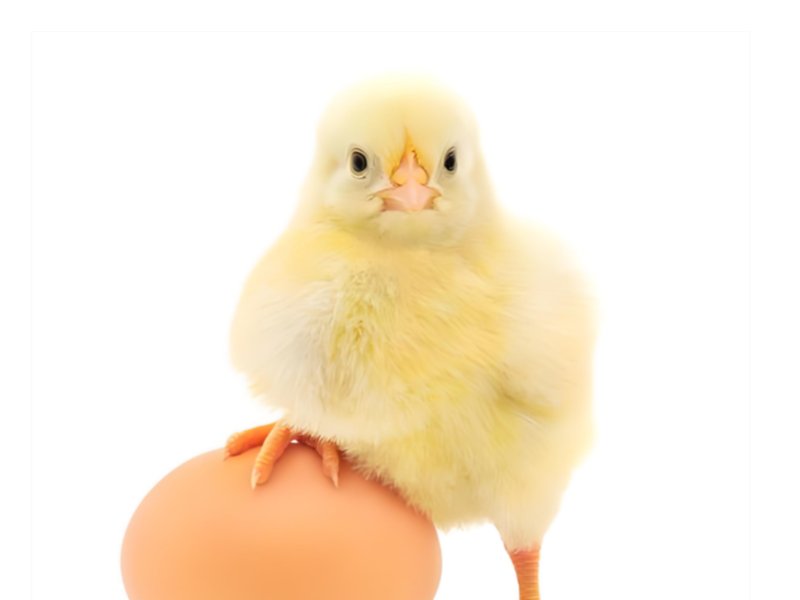 2026年1月30日畜禽行情信息汇总