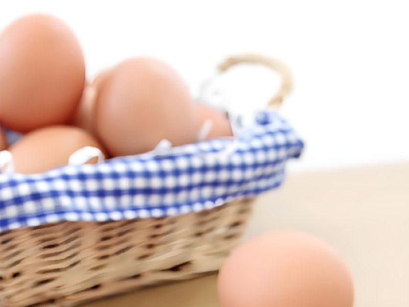 2026年2月5日畜禽行情信息汇总