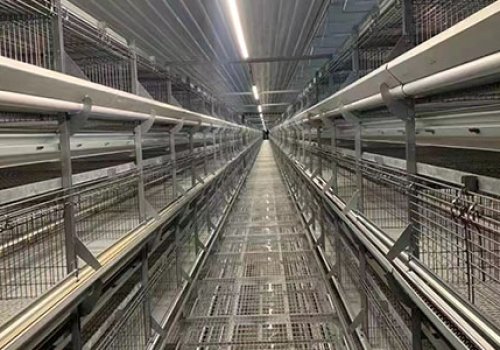 相关产品图