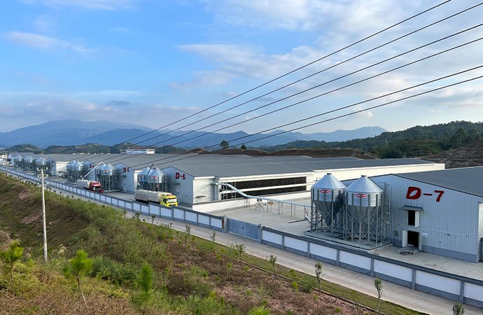 寻乌300万层养殖场交钥匙工程